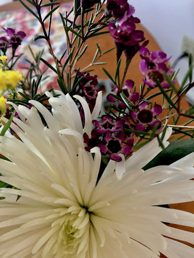 Florist «Brattle Square Florist», reviews and photos, 31 Brattle St, Cambridge, MA 02138, USA