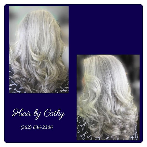 Hair Salon «Hair Force Salon», reviews and photos, 730 W Burleigh Blvd, Tavares, FL 32778, USA