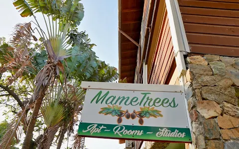 Mame Trees image
