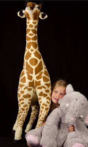 Toy Store «Melissa & Doug», reviews and photos, 141 Danbury Rd, Wilton, CT 06897, USA