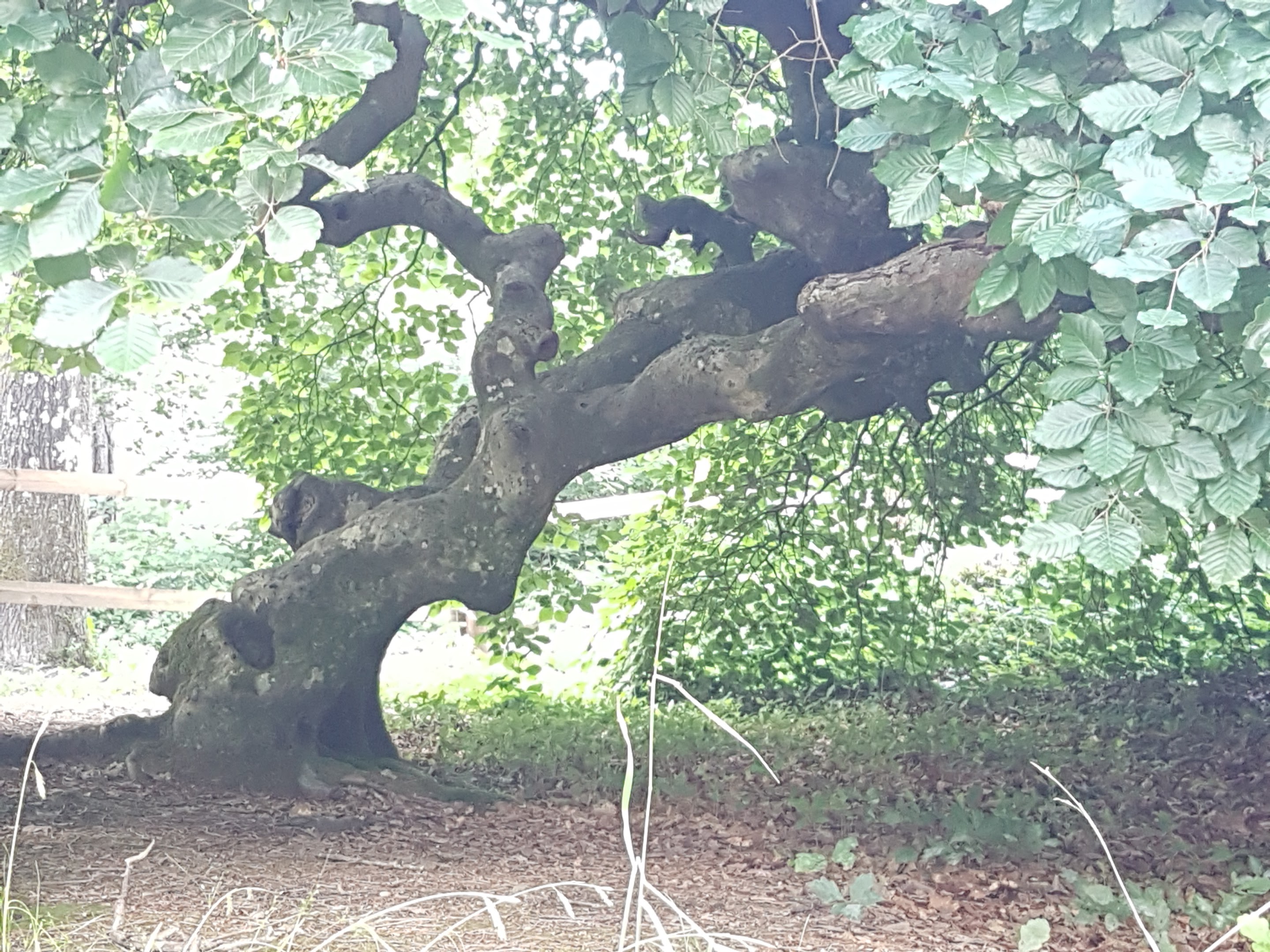 Photo n° 4 de l'avis de seb.e fait le 09/08/2018 à 11:43