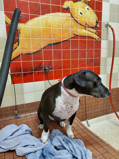 Pet Supply Store «Pet Food Express», reviews and photos, 2531 Fair Oaks Blvd, Sacramento, CA 95825, USA