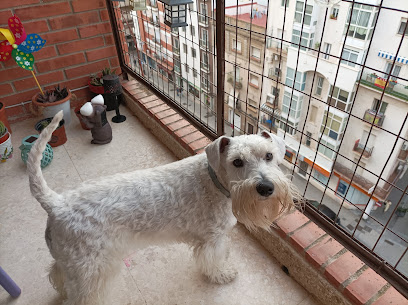 Beauty Pets, peluquería canina - Servicios para mascota en Huelva
