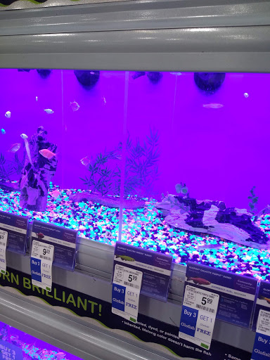 Pet Supply Store «PetSmart», reviews and photos, 14025 SW 88th St, Miami, FL 33186, USA