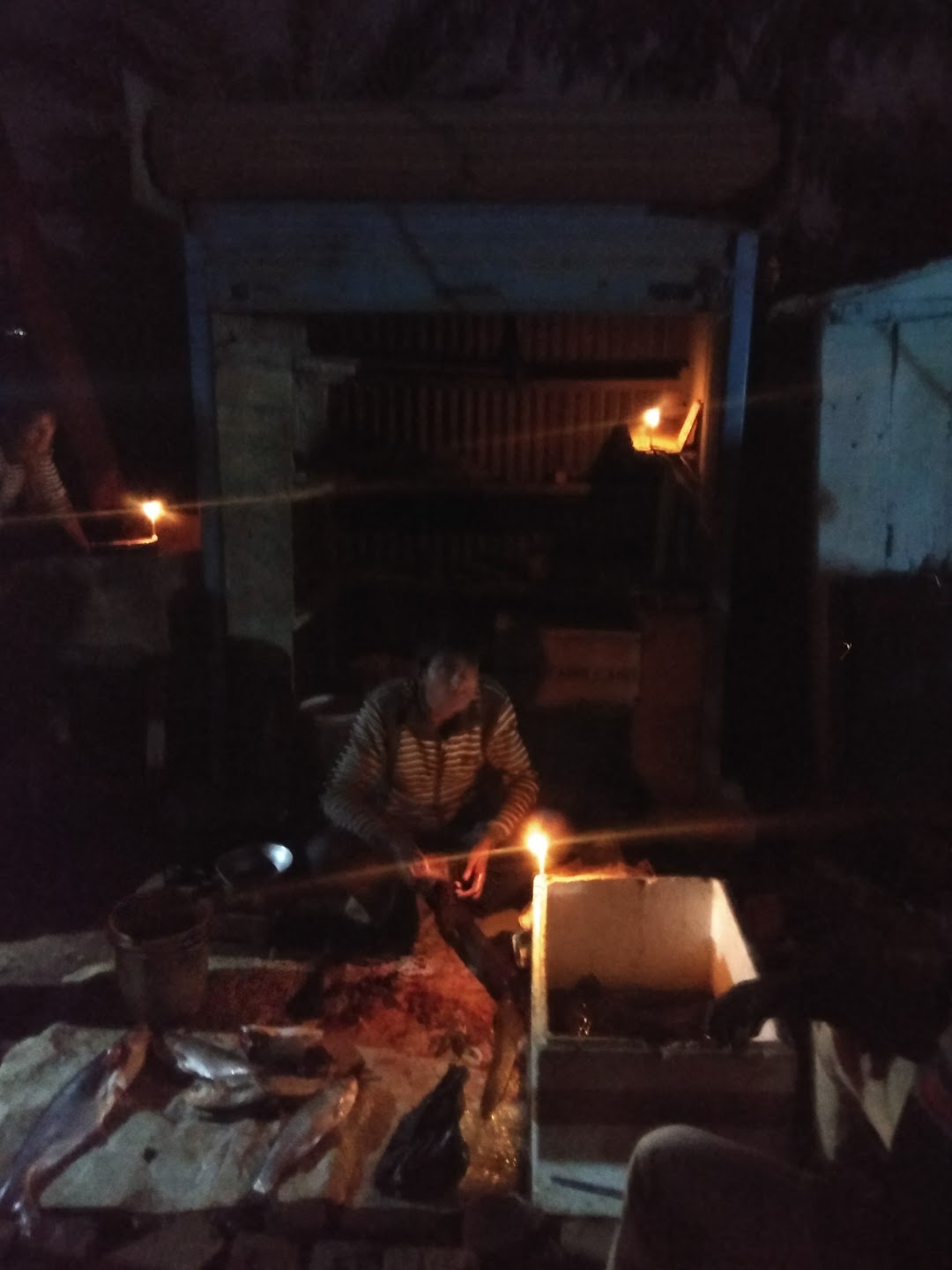 Fish Shop