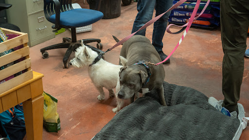 Pet Supply Store «Wags To Wiskers Pet Supplies», reviews and photos, 2423 W Stadium Blvd, Ann Arbor, MI 48103, USA