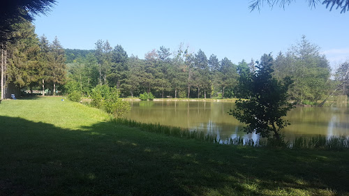 Etang du Willerwald à Illfurth