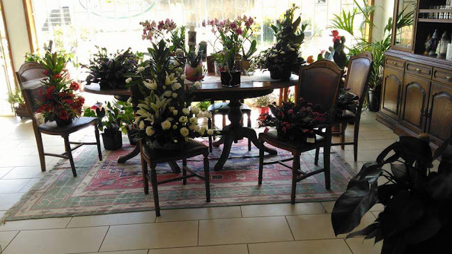 Avaliações doArte Floral em Santo Tirso - Floricultura