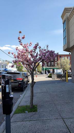 Drug Store «Walgreens», reviews and photos, 699 Broadway, Bayonne, NJ 07002, USA