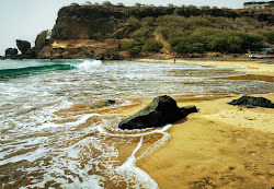 Praia de Portinho'in fotoğrafı vahşi alan