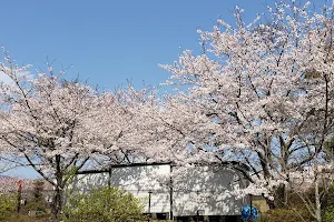 Yamabato Park image