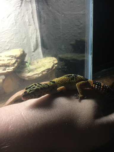 Pet Supply Store «Petsense Vicksburg», reviews and photos, 3405 Pemberton Square Blvd, Vicksburg, MS 39180, USA