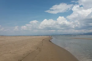 Playas de la Delta del Ebro image