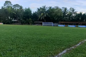 Young Soccer Field Development image
