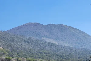 Associazione Vesuvio Natura da Esplorare image