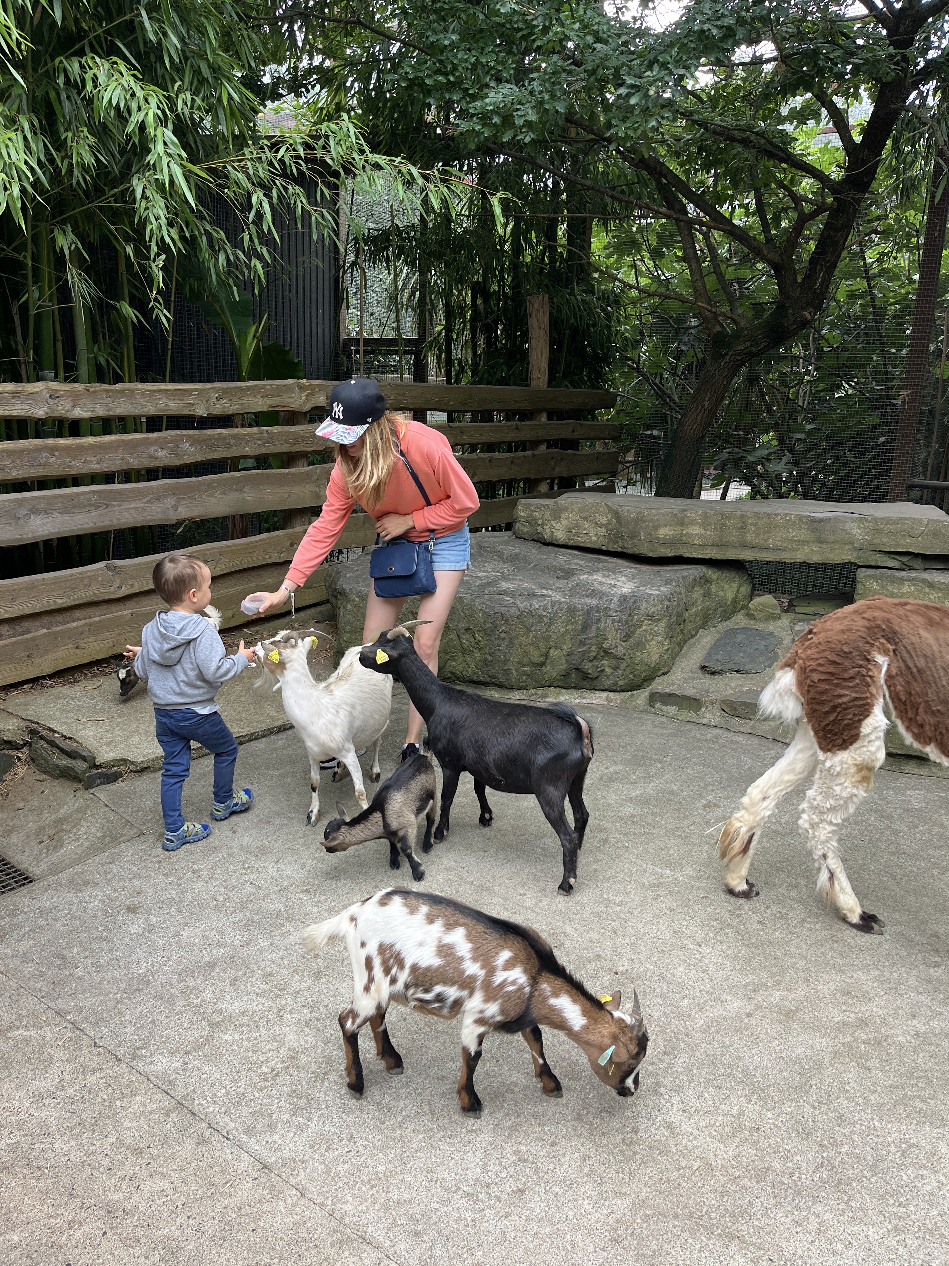 Photo n° 12 de l'avis de QIN.I fait le 16/07/2023 à 10:58