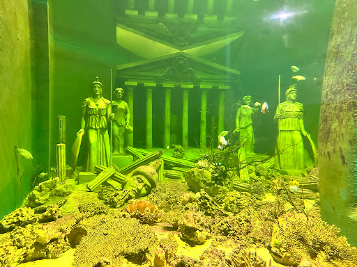 Top 20 cửa hàng air space Quận 11 Hồ Chí Minh 2022