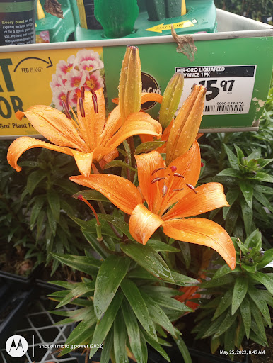 Home Improvement Store «The Home Depot», reviews and photos, 21750 Market Pl NW, Poulsbo, WA 98370, USA