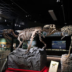 Photo n° 3 de l'avis de Sophie.o fait le 13/06/2021 à 08:00 pour PALEOPOLIS à Gannat