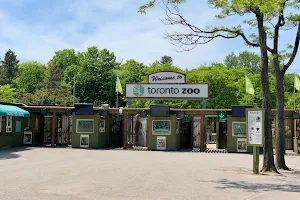 Toronto Zoo image