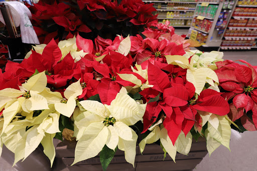 Grocery Store «Food Lion», reviews and photos, 2060 Yellow Springs Rd, Frederick, MD 21702, USA