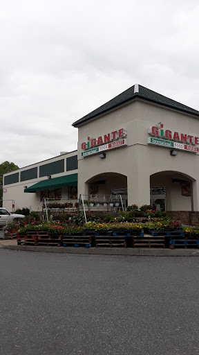Grocery Store «Gigante International Food Market», reviews and photos, 8847 Gap Newport Pike, Avondale, PA 19311, USA