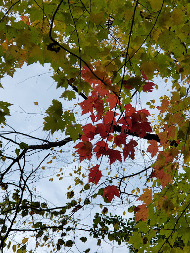 Nature Preserve «Stage Nature Center», reviews and photos, 6685 Coolidge Hwy, Troy, MI 48098, USA