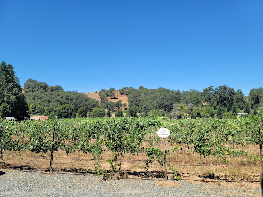 Winery «Mt. Vernon Winery», reviews and photos, 10850 Mt Vernon Rd, Auburn, CA 95603, USA