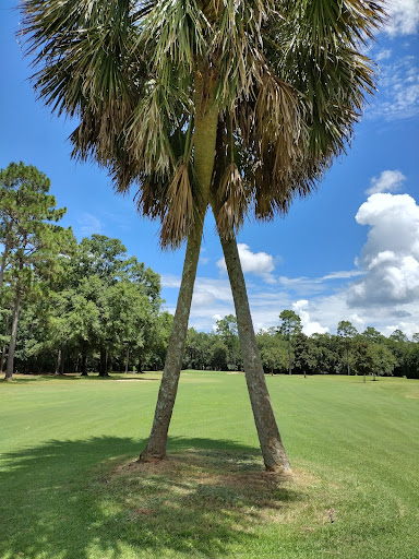 Golf Driving Range «Tanglewood Golf and Country Club», reviews and photos, 5916 Tanglewood Dr, Milton, FL 32570, USA