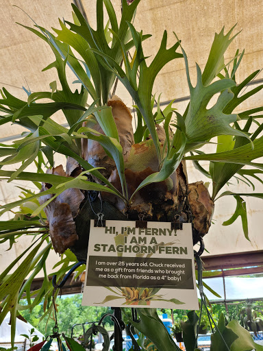 Garden Center «Chesterton Feed & Garden Center», reviews and photos, 400 Locust St, Chesterton, IN 46304, USA