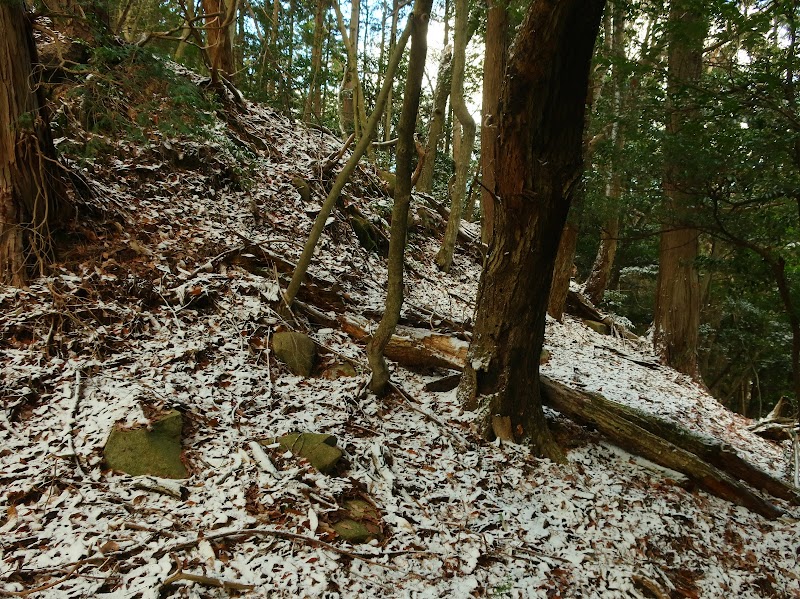 白金城跡（野井城跡）