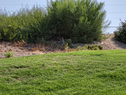 Golf Course «Chimera Golf Club», reviews and photos, 901 Olivia Pkwy, Henderson, NV 89011, USA