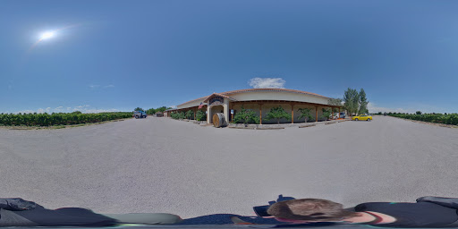 Vineyard «Rio Grande Vineyard & Winery», reviews and photos, 5321 NM-28, Las Cruces, NM 88005, USA