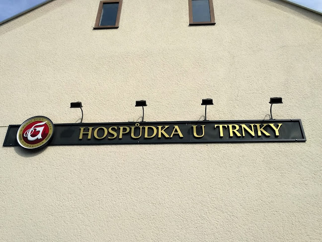 Recenze na Hospůdka U Trnky v Plzeň - Bar