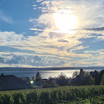 Photo n°4 de l'avis de Meli.i fait le 04/10/2022 à 19:54 sur le  Logis Hotel Burgunderhof à Hagnau am Bodensee