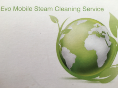 Evo Steam Cleaning