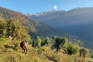 Mardi Himal Trek image