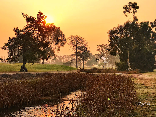 Public Golf Course «Chuck Corica Golf Complex», reviews and photos, 1 Clubhouse Memorial Rd, Alameda, CA 94502, USA