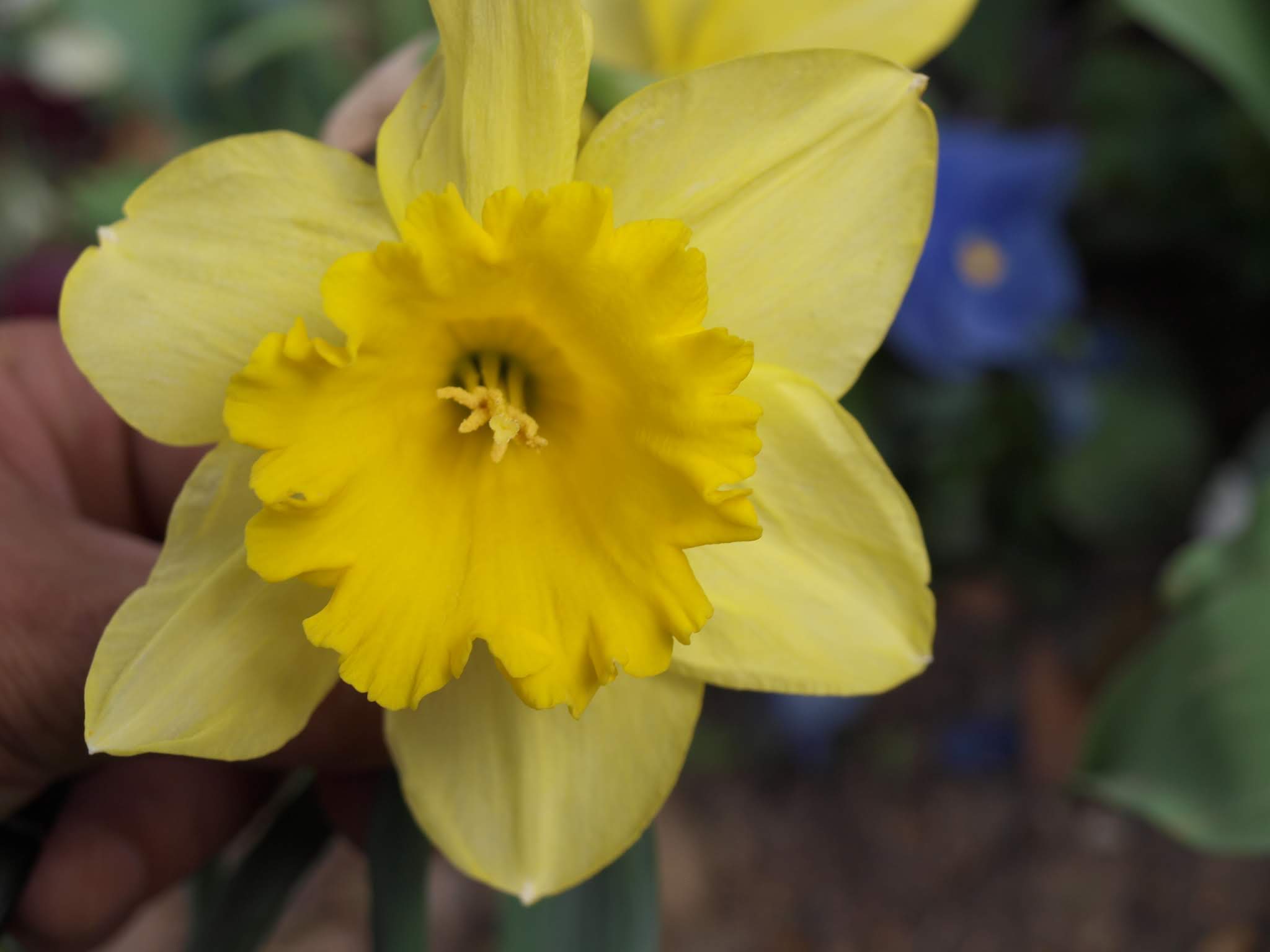 Photo n° 3 de l'avis de Stéphanie. fait le 18/03/2019 à 19:34