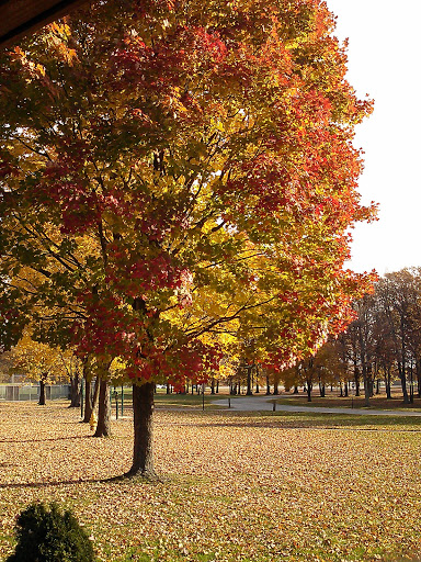 Park «James Day Park (Nike Site Park)», reviews and photos, 11828 W Pleasant Valley Rd, Parma, OH 44130, USA