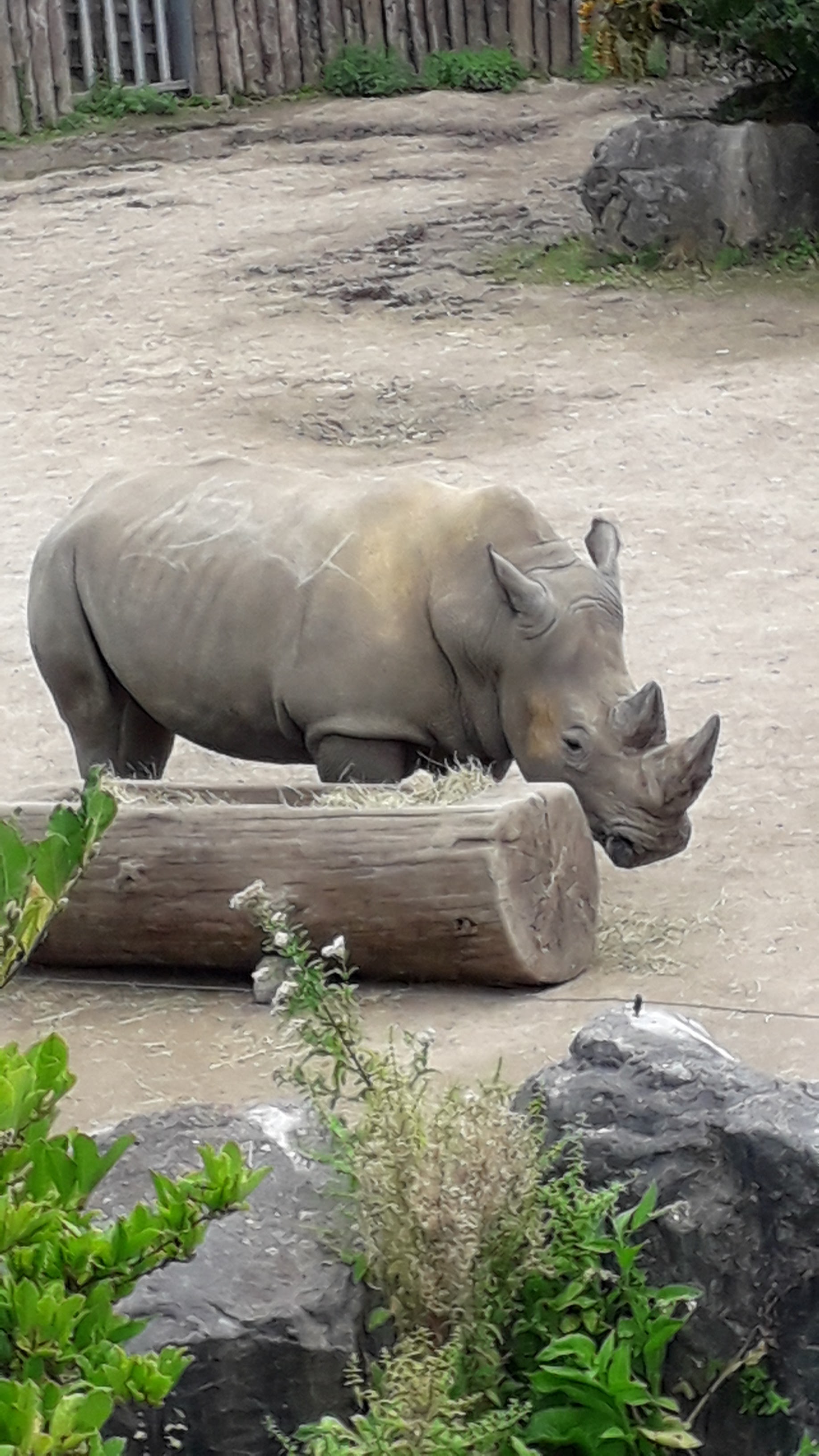 Photo n° 10 de l'avis de Catherine.C fait le 27/08/2020 à 11:42