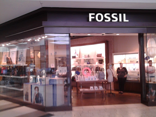 Fossil Store, 100 Briarwood Cir, Ann Arbor, MI 48108, USA, 