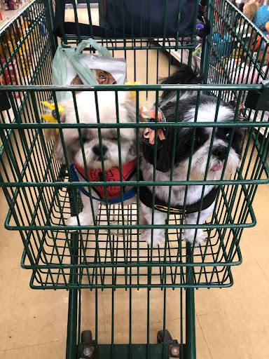 Pet Supply Store «Pet Supplies Plus», reviews and photos, 50633 Gratiot Ave, Chesterfield, MI 48051, USA