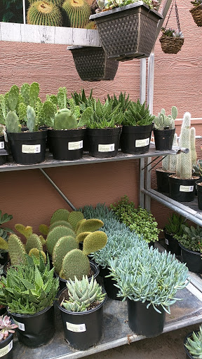 Department Store «Walmart Supercenter», reviews and photos, 5290 S Power Rd, Gilbert, AZ 85295, USA