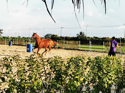 PREMIUM HORSE RIDING CLUB