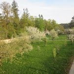 Photo n°10 de l'avis de Monika.r fait le 17/04/2024 à 17:46 sur le  Kloster Holzen à Allmannshofen