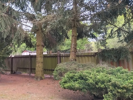 Tierarztpraxis Groß Köris Fabienne Gutschwager Praktische Tierärztin unter Groß Köris, Brandenburg