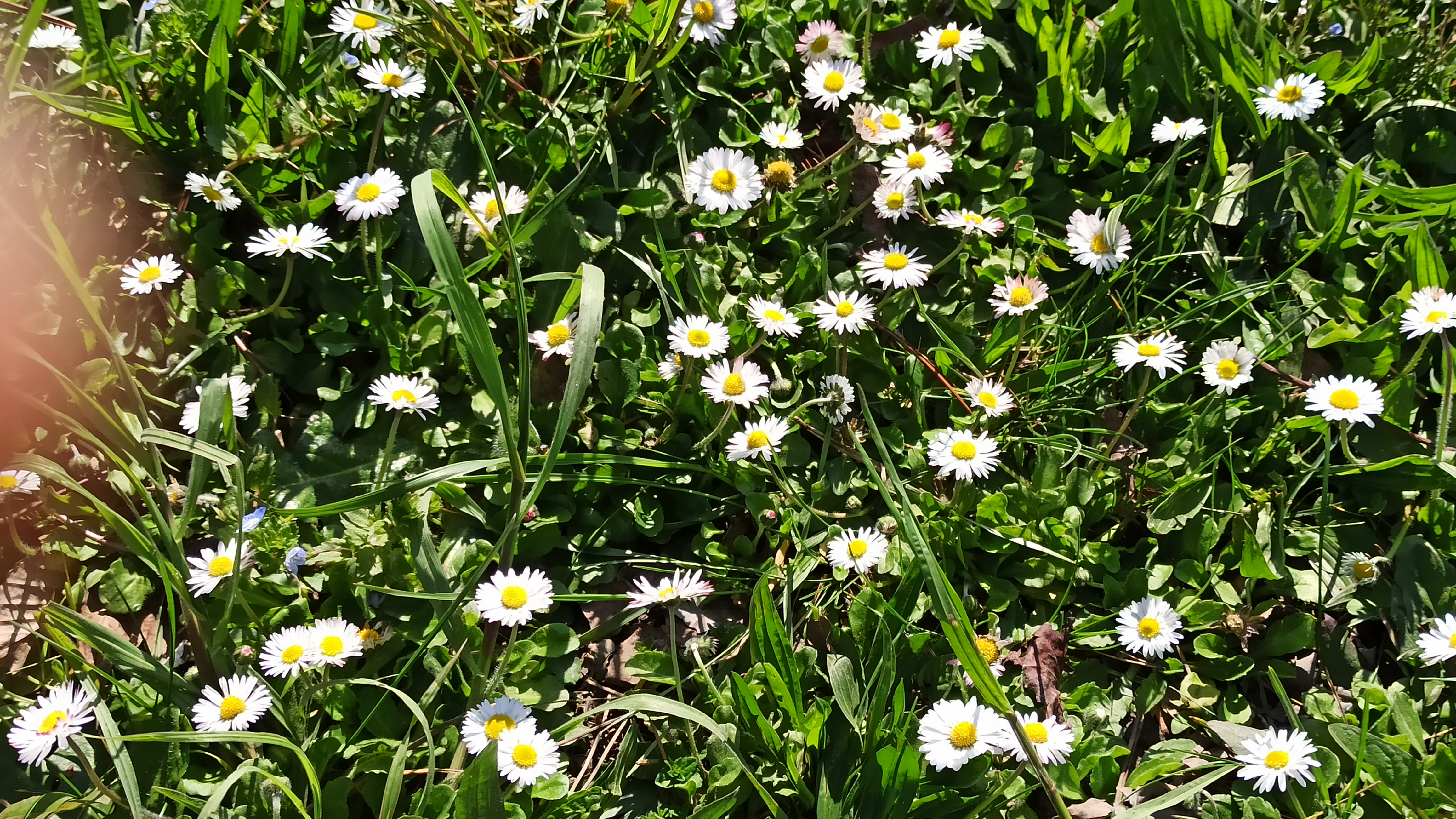 Photo n° 2 de l'avis de michele.o fait le 05/04/2023 à 17:57
