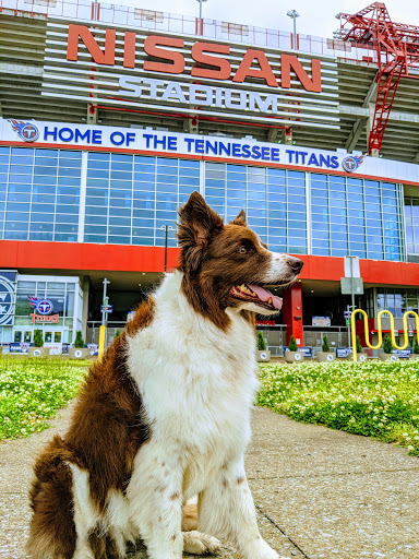 Stadium «Nissan Stadium», reviews and photos, 1 Titans Way, Nashville, TN 37213, USA