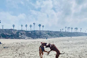 Dog Beach | Huntington Beach image